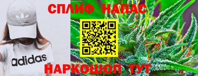 ПСИЛОЦИБИНОВЫЕ ГРИБЫ Пенза