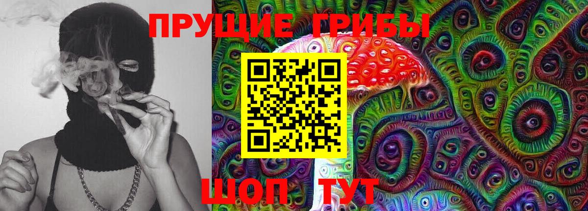 Галлюциногенные грибы Cubensis  Вход с VPN  Приморско-Ахтарск  Галлюциногенные грибы GOLDEN TEACHER 